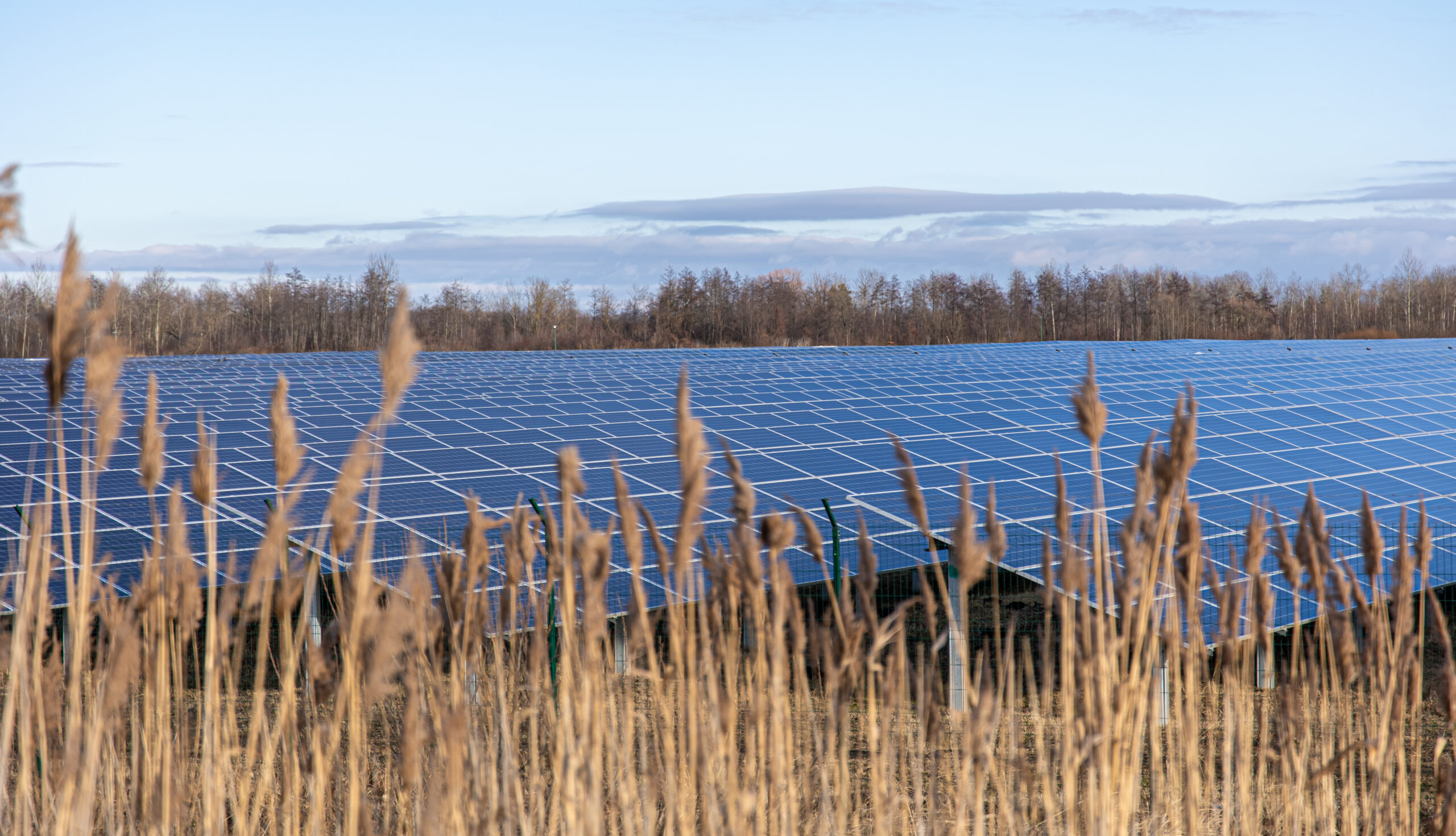 Solarenergie in der Landwirtschaft: Neue Perspektiven und Chancen